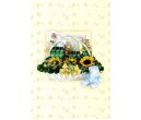 CH8115<br/>New Born